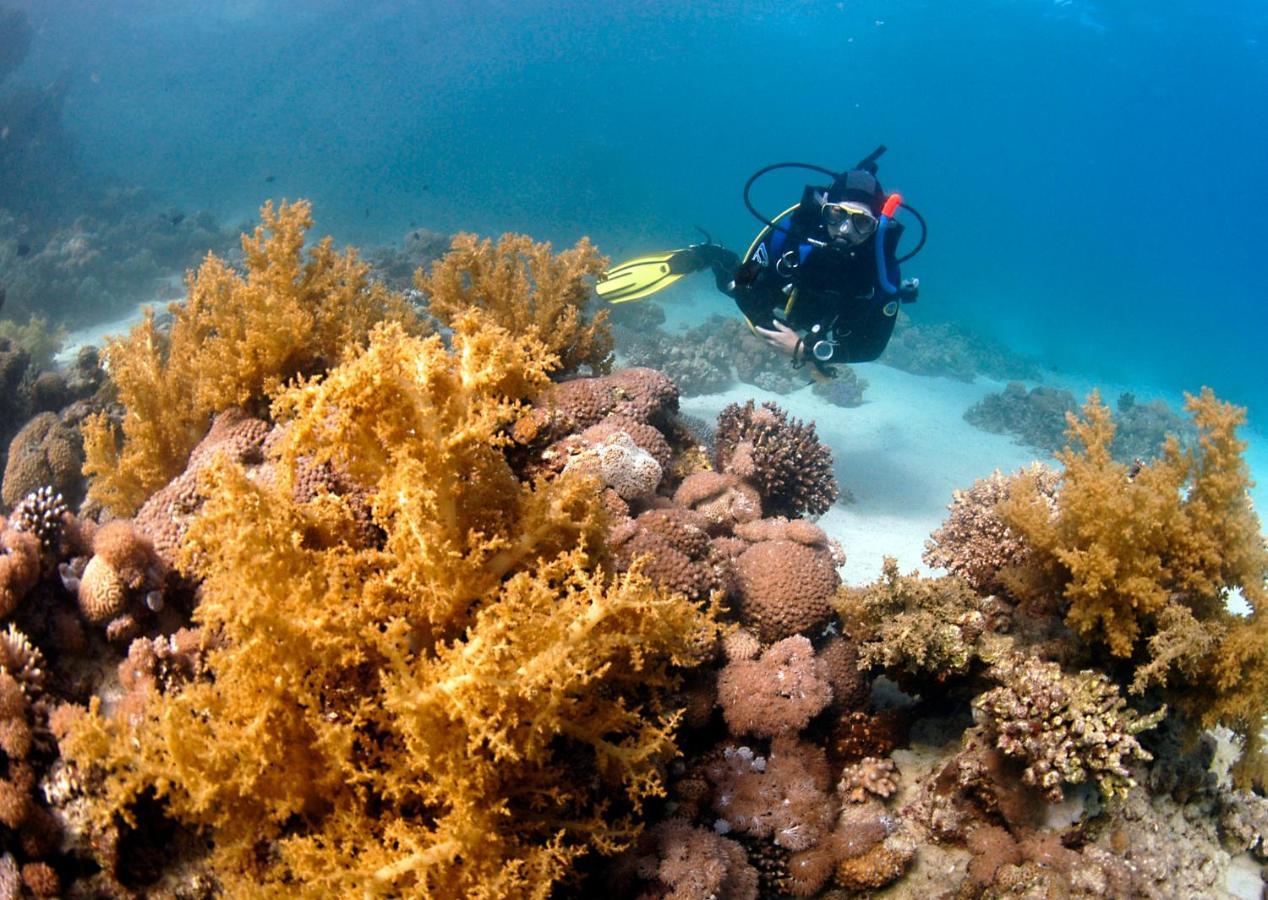 Dive Urge Hotel Dahab Exterior photo