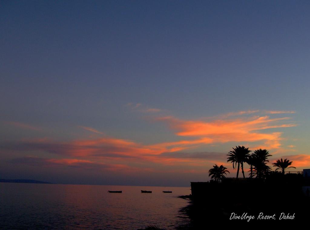 Dive Urge Hotel Dahab Exterior photo