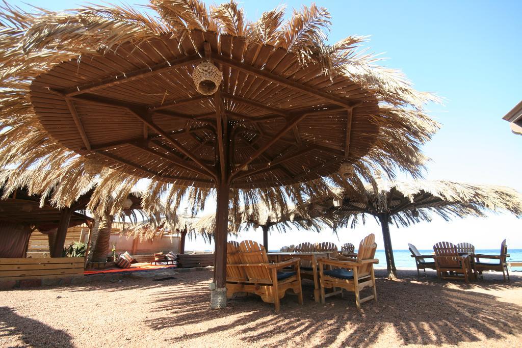 Dive Urge Hotel Dahab Exterior photo