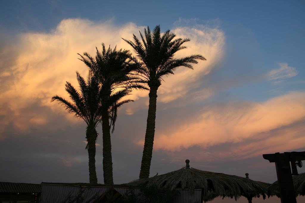 Dive Urge Hotel Dahab Exterior photo