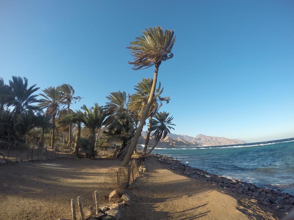 Dive Urge Hotel Dahab Exterior photo