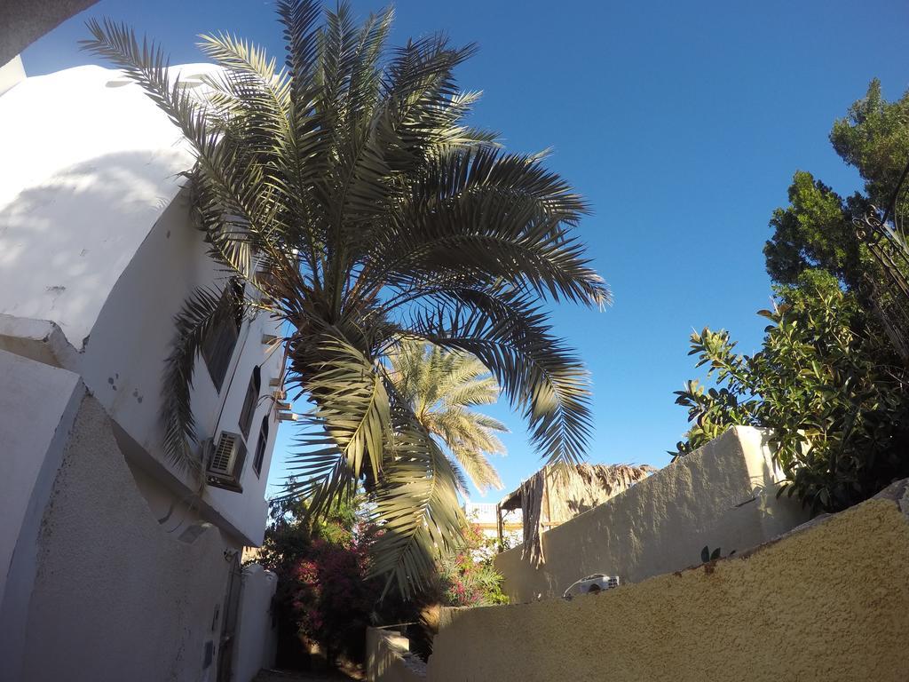 Dive Urge Hotel Dahab Exterior photo