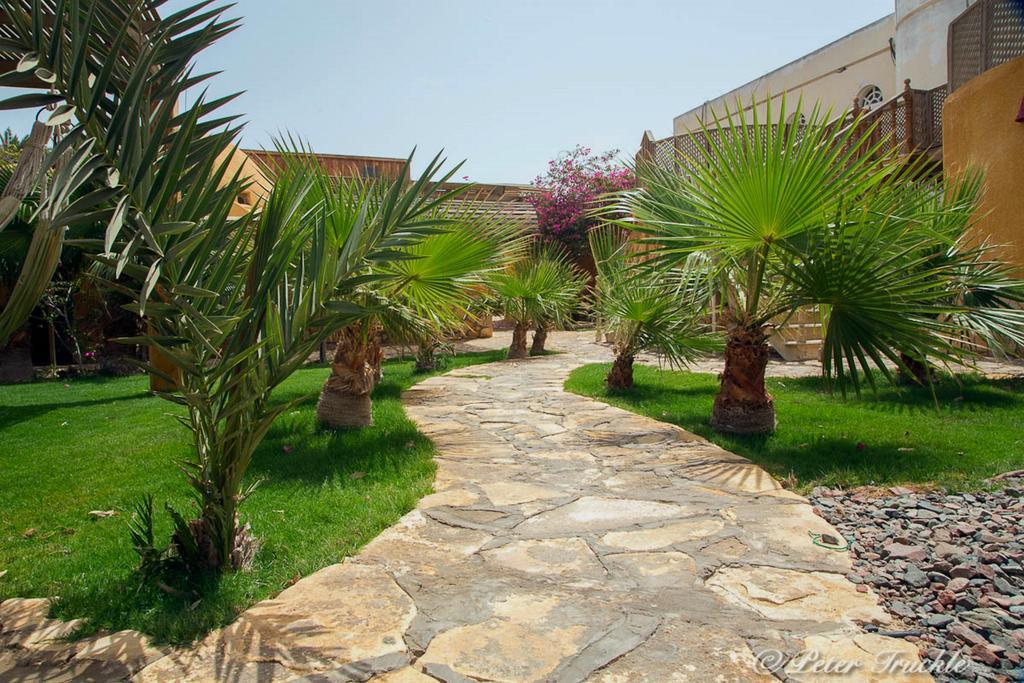 Dive Urge Hotel Dahab Exterior photo